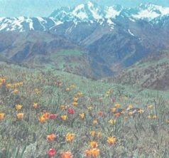 Тропинки в загадочный мир [с иллюстрациями] - pic_40.jpg