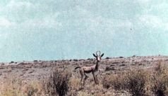 Тропинки в загадочный мир [с иллюстрациями] - pic_42.jpg