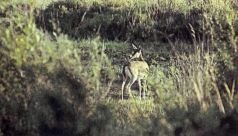 Тропинки в загадочный мир [с иллюстрациями] - pic_44.jpg