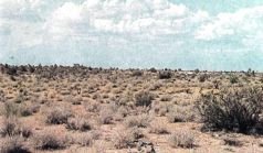 Тропинки в загадочный мир [с иллюстрациями] - pic_50.jpg