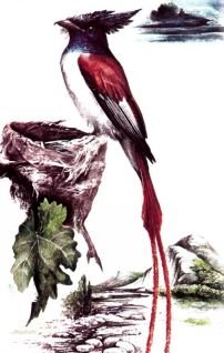 Тропинки в загадочный мир [с иллюстрациями] - pic_66.jpg