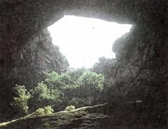 Тропинки в загадочный мир [с иллюстрациями] - pic_69.jpg