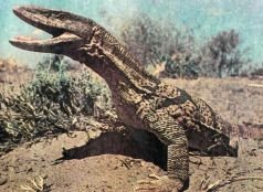 Тропинки в загадочный мир [с иллюстрациями] - pic_76.jpg