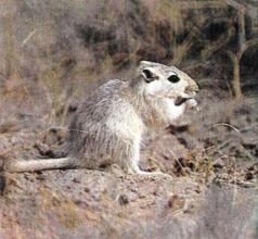 Тропинки в загадочный мир [с иллюстрациями] - pic_77.jpg