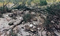 Тропинки в загадочный мир [с иллюстрациями] - pic_81.jpg