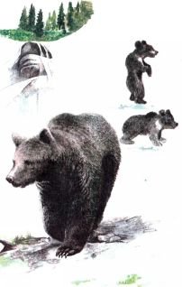 Тропинки в загадочный мир [с иллюстрациями] - pic_84.jpg