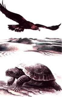 Тропинки в загадочный мир [с иллюстрациями] - pic_89.jpg