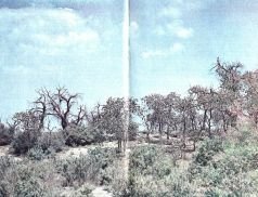 Тропинки в загадочный мир [с иллюстрациями] - pic_90.jpg