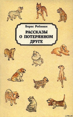 Книга Рассказы о потерянном друге