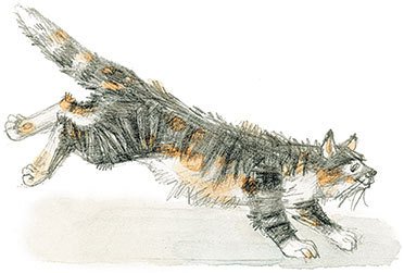 Опальные рассказы - i_013.jpg