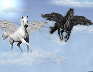 Книга Истории Софии