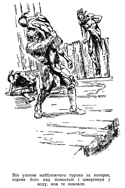 Звіробій - doc2fb_image_03000010.png