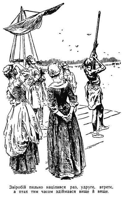 Звіробій - doc2fb_image_03000014.png