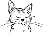 Красная книга сказок кота Мурлыки - i_002.png