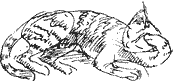 Красная книга сказок кота Мурлыки - i_004.png