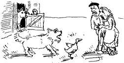 Красная книга сказок кота Мурлыки - i_038.png