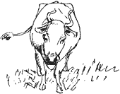 Красная книга сказок кота Мурлыки - i_040.png