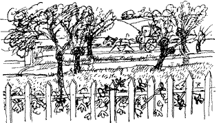 Красная книга сказок кота Мурлыки - i_073.png