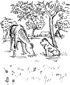 Красная книга сказок кота Мурлыки - i_096.png