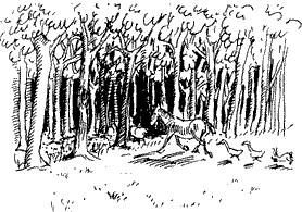 Красная книга сказок кота Мурлыки - i_104.png