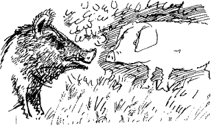 Красная книга сказок кота Мурлыки - i_108.png