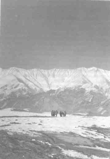 Бесконечная война - any2fbimgloader11.jpeg