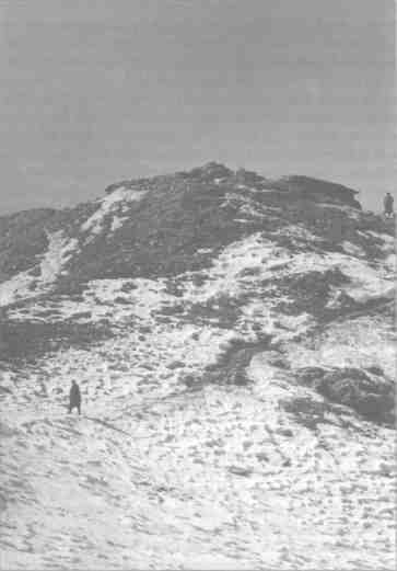 Бесконечная война - any2fbimgloader3.jpeg