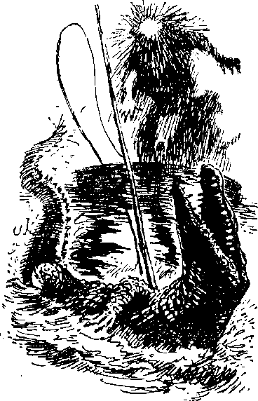 Залив - bolshoisolyanik_clip_image002.png