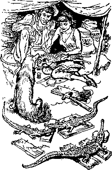 Залив - krokodiliichuchla_clip_image002.png