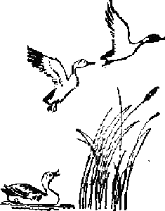 Избранные произведения для детей - i_035.png