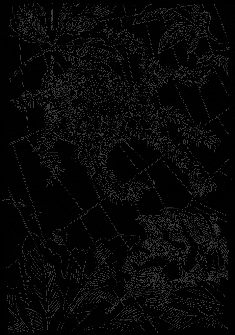 В країні дрімучих трав - doc2fb_image_03000005.png