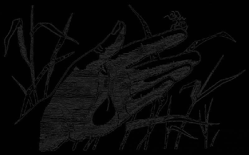 В країні дрімучих трав - doc2fb_image_0300000F.png