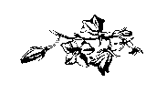 Том 19. Белые пелеринки - pic_8.png
