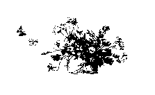 Том 19. Белые пелеринки - pic_18.png