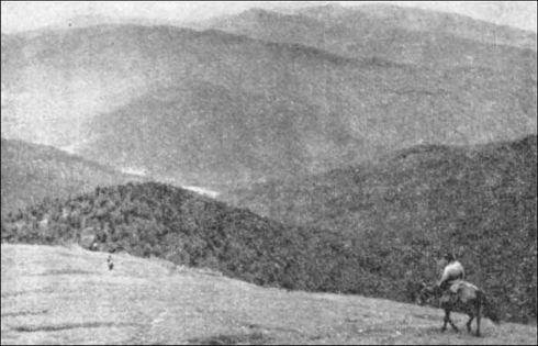 По Восточному Алтаю - img_1.jpeg