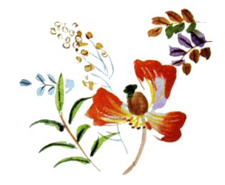 Байкала-озера сказки Том I разд.1 - i_008.png