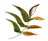 Байкала-озера сказки Том I  разд.2 - i_007.png