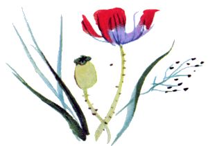 Байкала-озера сказки Том I  разд.2 - i_009.png