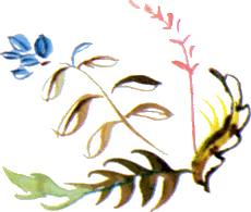 Байкала-озера сказки Том I  разд.2 - i_018.png