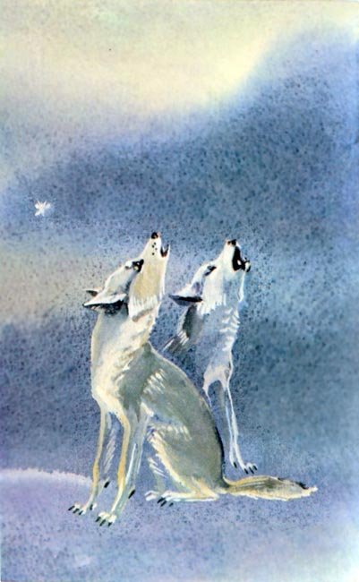 Байкала-озера сказки Том I  разд.2 - i_034.jpg