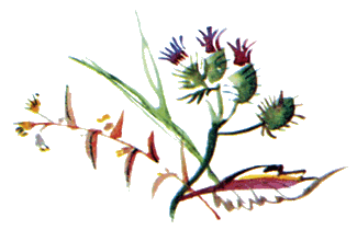 Байкала-озера сказки Том I  разд.2 - i_037.png