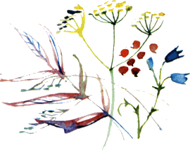 Байкала-озера сказки Том I разд.2 - i_043.png