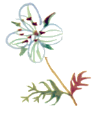 Байкала-озера сказки Том I разд.2 - i_047.png