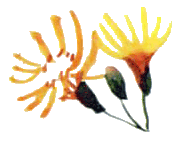 Байкала-озера сказки Том I  разд.2 - i_054.png