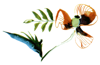 Байкала-озера сказки Том I  разд.2 - i_056.png