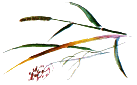 Байкала-озера сказки Том I  разд.2 - i_064.png