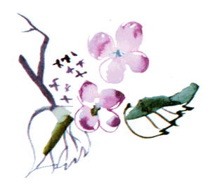 Байкала-озера сказки Том I разд.2 - i_072.png