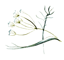 Байкала-озера сказки Том I разд.2 - i_081.png