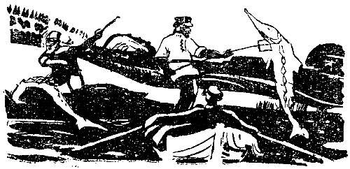 Искатель. 1966. Выпуск №5 - i_015.png