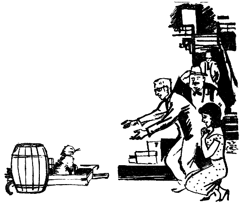 Искатель. 1966. Выпуск №5 - i_044.png